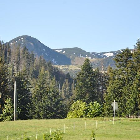 Apartamenty "U Blizniakow" Zakopane Exterior foto