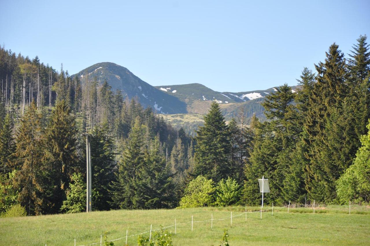 Apartamenty "U Blizniakow" Zakopane Exterior foto