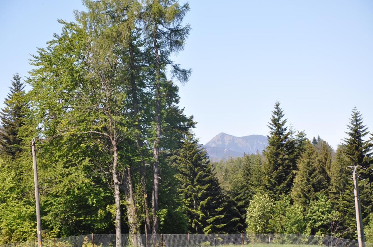 Apartamenty "U Blizniakow" Zakopane Exterior foto