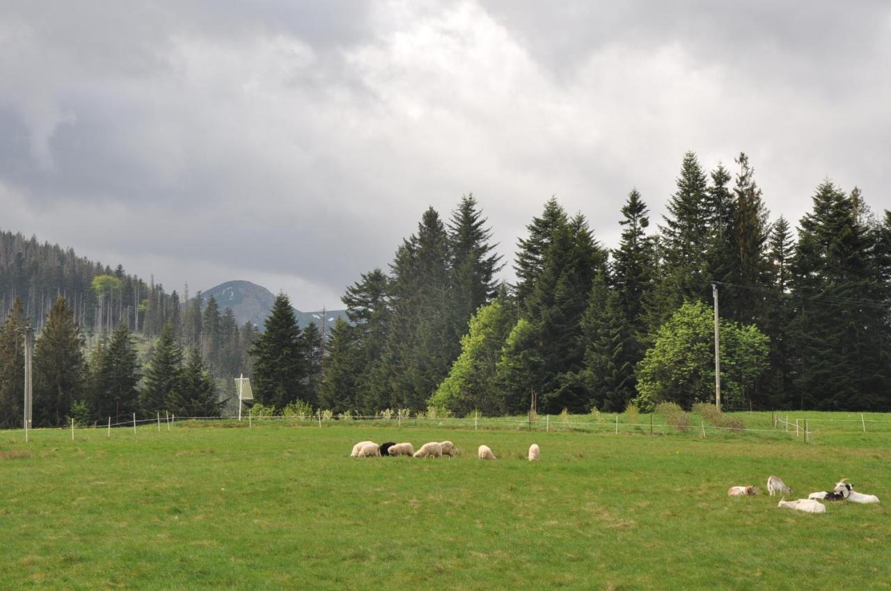 Apartamenty "U Blizniakow" Zakopane Exterior foto